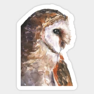 Owl Art Sticker